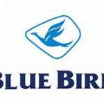 Bluebird Japos Logo